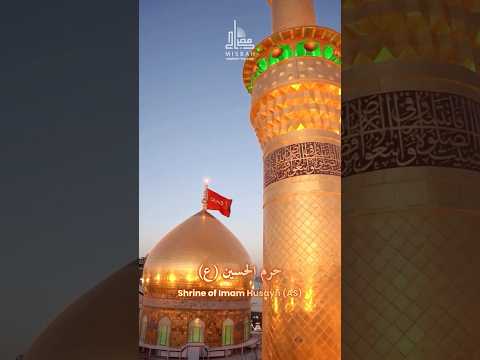 Shrine of Imam Husayn (p) is my home | بيتي حرم الحسین (ع)