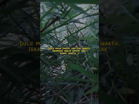 kata motifasi#katamotifasi#katamotivasi#