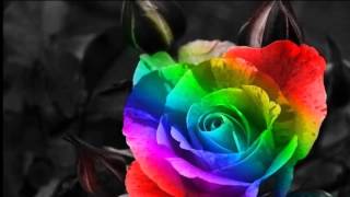 Demos Tiempo Al Tiempo ♦ David DeMaria