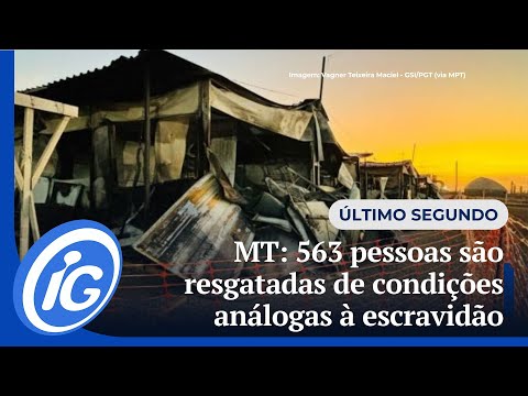 563 pessoas são resgatadas de condições análogas à escravidão no Mato Grosso