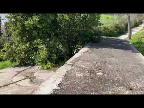 ATTENZIONE! PORTALE PER UNA NUOVA DIMENSIONE!!