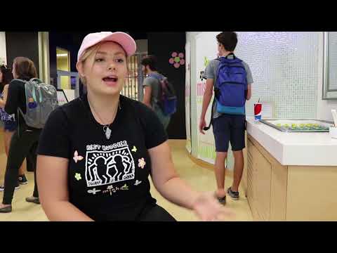 Misha's Cupcakes brings easy treats that are sweet to eat