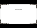 DJ Food - Taste Strange Lyrics