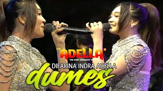 Download lagu DUMES - Difarina Indra Adella - Om Adella Live Johorejo Kendal 2023 mp3 Download lagu DUMES - Difarina Indra Adella - Om Adella Live Johorejo Kendal 2023 mp3