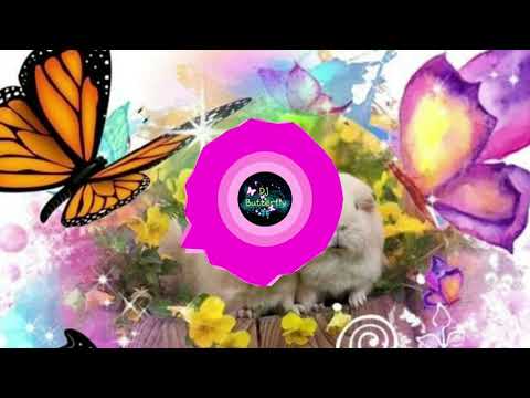 El Pasador - Amada Mia Amore Mio (Remix Dj Tranceman Dj Blackwave & Dj Butterfly) (HD)