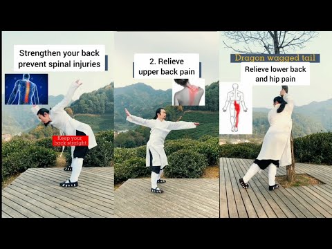 Most Important Tai chi workout | Wudang Zidong | Qi Gong exercise