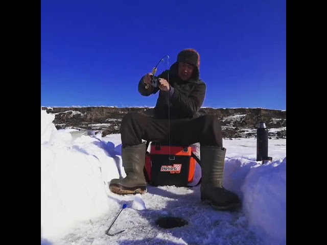 Не каждый день удается достать из воды такой трофей