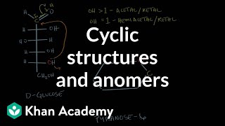 Carbohydrates - cyclic structures and anomers | Chemical processes | MCAT | Khan Academy