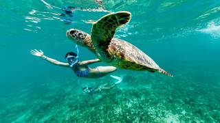 5 Most Breathtaking Destinations To Swim With Turtles, According To Travelers