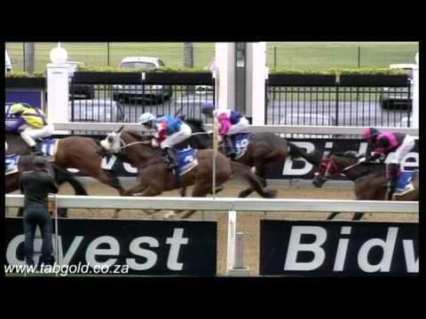 20151110 Greyville Race 4 won by OPEN HEIR