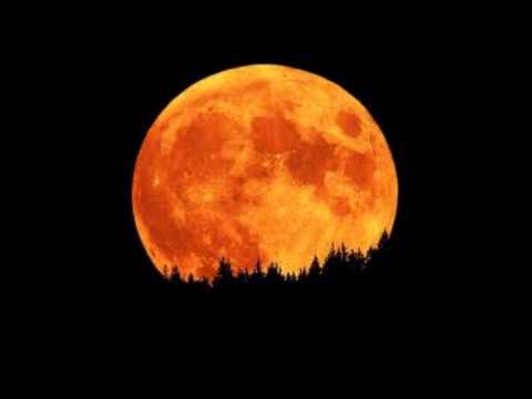 Sandi Morreno   Dreams