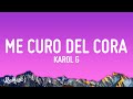 KAROL G - Mientras Me Curo Del Cora (Letra/Lyrics)