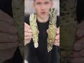 Fresh Wasabi