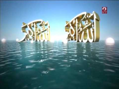 الدكتور سعيد مدين على قناه mbc مصر 2