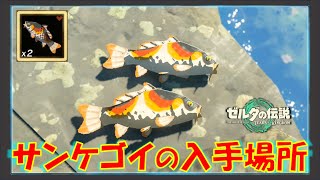 【ゼルダの伝説ティアキン】「サンケゴイ」が入手できる場所と料理で得られる効果を解説！