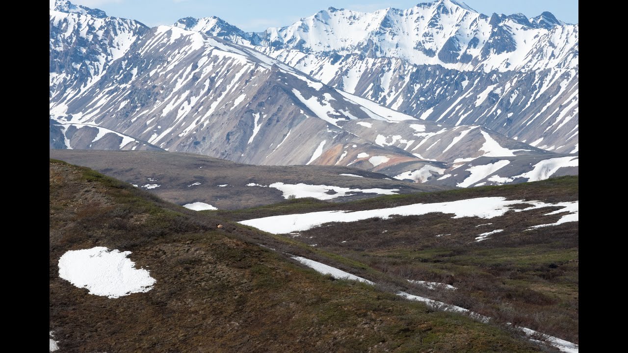 Working Together for Health