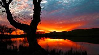 Klaus Schulze - Zugabe Timbales