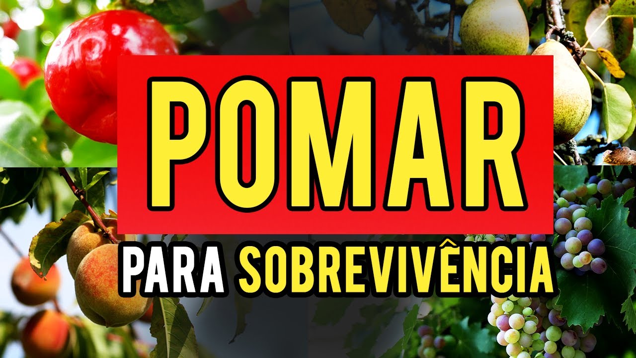 Which fruit trees are useful in survivencialism | Off grid and homestead | THE STRONG