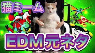 #猫ミーム　EDM元ネタ Ben 10 Remixxx | Le Bao #catdance