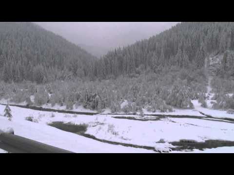 jurnal 28 01 2014 stalpeni   mihaela ivascu  rpiboaia izolata de restul comunei