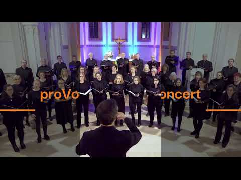 Robert Schumann - Ungewitter, op. 67 Nr. 4 - proVocal - Matthias Böhringer, Dirigent