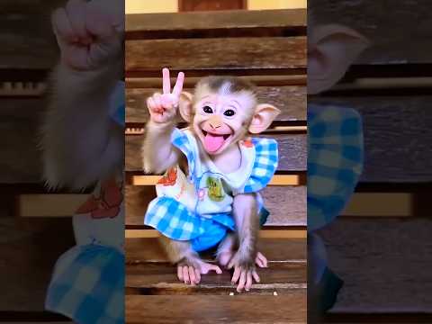 One Banana 🍌 Or Two Bananas 🍌🍌🥰🤪#shorts #viral #trending #funny