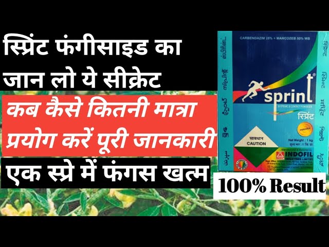 Agricultural Fungicides - Indofil Sprint Fungicide Wholesale ...