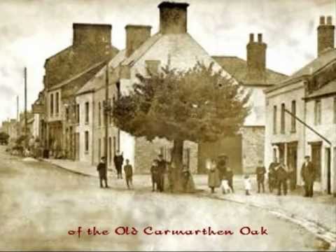 The Old Carmarthen Oak