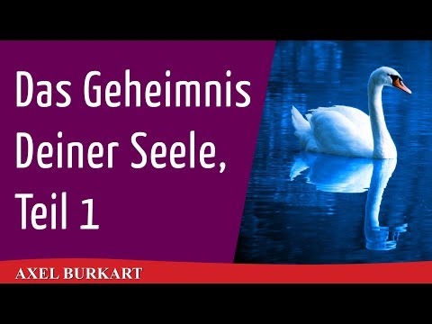 Das Geheimnis Deiner Seele, Teil 1 / Spiritualität Esoterik Karma / Rudolf Steiner Anthroposophie