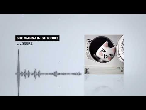 Lil Seere - She Wan' (Nightcore) [528hz]