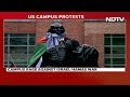 Gaza Protests | More Arrests On US Universities Campuses As Gaza Protests Continue - Video