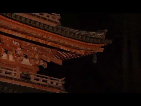 光で彩る恭仁京NIGHT　海住山寺ライトアップ