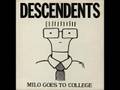 Descendents - Statue of Liberty