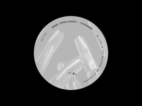 Swarm Intelligence - Holographic [VOI018]