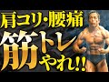 使える筋肉作る!細かい筋肉も鍛え抜けば理想の体は完成する!