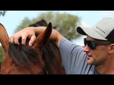 Living Legends  - Gr 1 New Zealand Derby winner Rangipo
