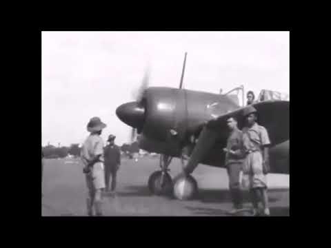 Dutch F2A Buffalo in the Dutch East Indies