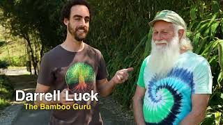 How to Use Invasive Species Like Bamboo to Your Advantage!