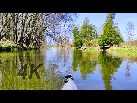 Kayaking the Canadian Wilderness ~ 4K Virtual Ride Along ~ Sunny Day Adventures