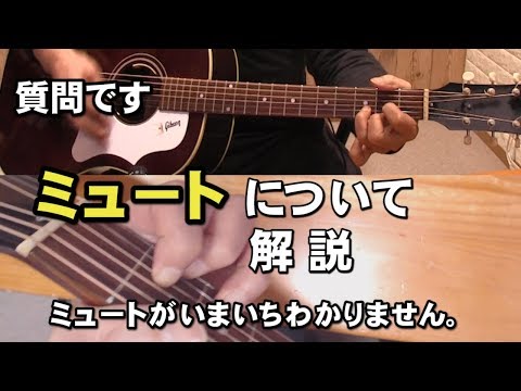 ミュートについて詳しく解説