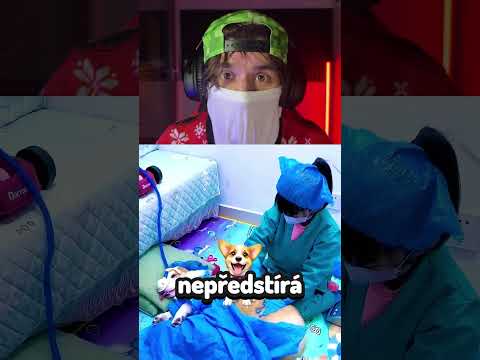 Chtěla být DOKTORKOU a ZACHRÁNILA Pejska... #shorts
