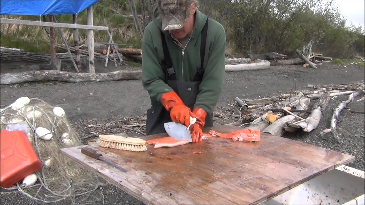 Cutting Dryfish With yukonjeff