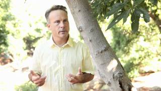 Alex MacLachlan, California Avocado Farmer