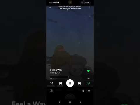 Feel a Way Prodigy10k