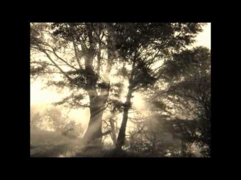 Svetlozar Hristov   Izbegala Moma