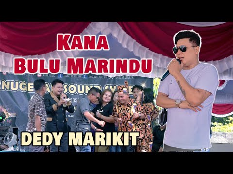 KANA BULU MARINDU By Dedy Marikit Lagu Dayak Viral Terbaik Terbaru 2025 Artis Dayak Kalimantan