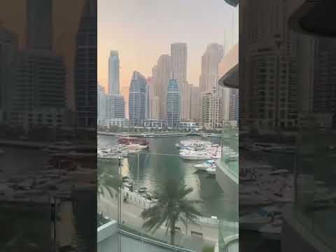 Condor Marina #remix #music #love #song #lifeisbutadream #musiccover #marina