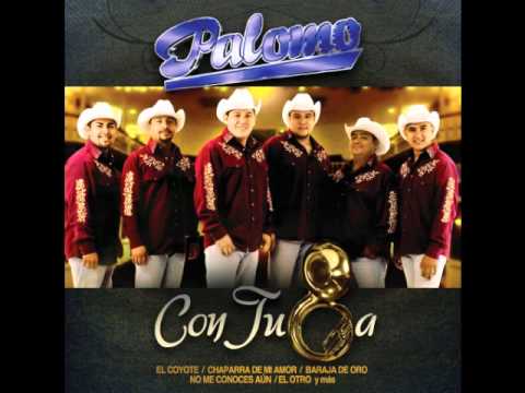 Javier Torres - Grupo Palomo