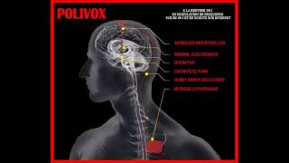 POLYVOX#1 semaine 40 -  2011
