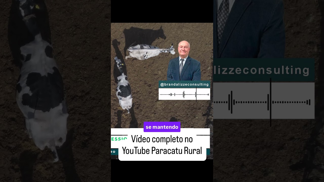 Recorde No Leite E Pressão No Boi: O Que Esperar dos Preços Agora?